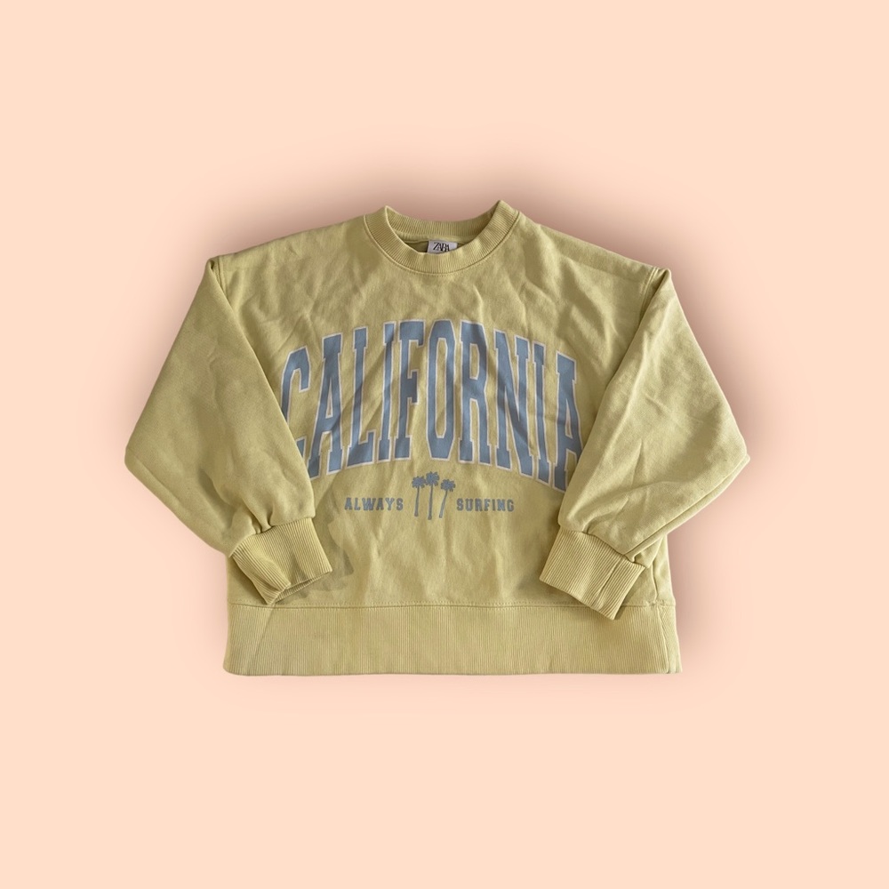 Zara sweater